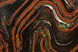 Polished Tiger Iron Stromatolite - ( Billion Years) #92822-1
